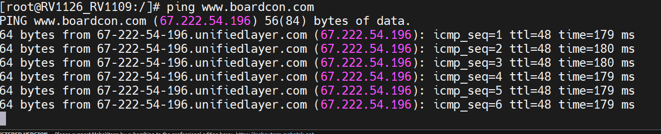 _images/buildroot_ping_ip.png